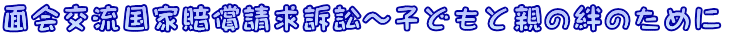 面会交流国家賠償請求訴訟～子どもと親の絆のために 